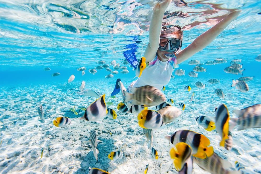 Woman Snorkeling  